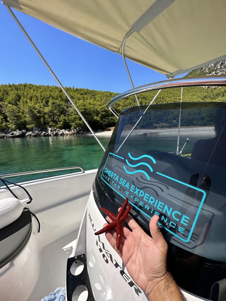 Private day charter boat near clear water